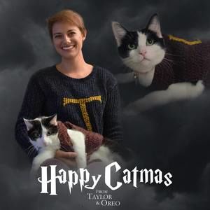 Meet your Posher, Taylor